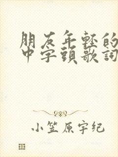 朋友年轻的妈妈中字头歌词