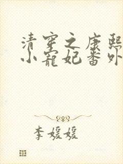 清穿之康熙家的小宠妃番外