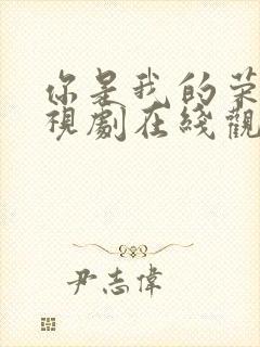 你是我的荣耀电视剧在线观看免费封面