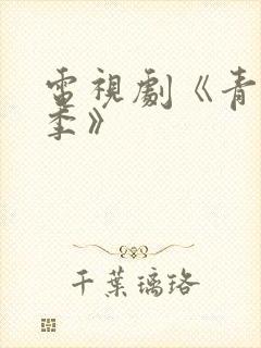 电视剧《青春无季》