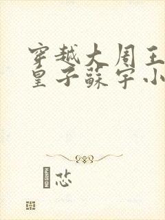 穿越大周王朝六皇子苏宇小说