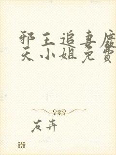 邪王追妻废材逆天小姐免费封面