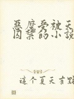 恶魔受被天使攻囚禁的小说