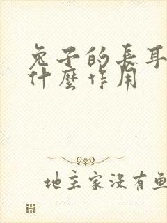 兔子的长耳朵有什么作用