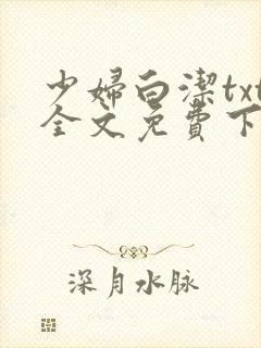 少妇白洁txt全文免费下载