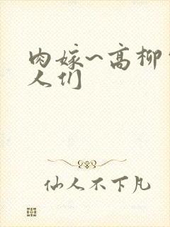 肉嫁~高柳家的人们封面
