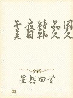 午夜精品国产欧美日韩久久封面