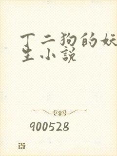 丁二狗的妖孽人生小说