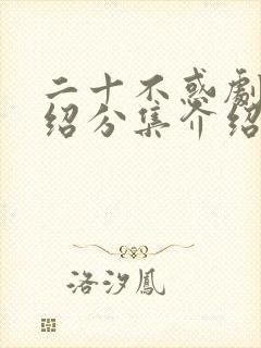 二十不惑剧情介绍分集介绍