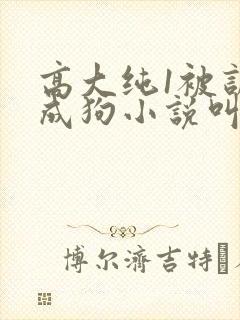 高大纯1被训练成狗小说叫什么名