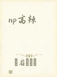 np高辣
