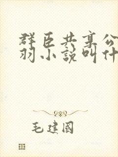 群臣共享公主银羽小说叫什么