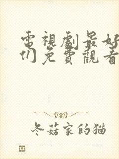 电视剧最好的我们免费观看全集完整版