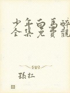 少年白马醉春风全集免费观看17集