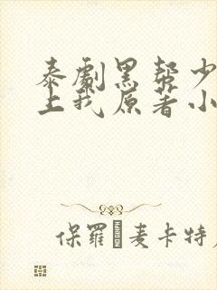 泰剧黑帮少爷爱上我原著小说