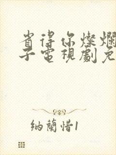 省得你灿烂的日子电视剧免费观看