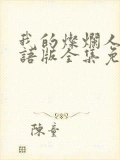 我的灿烂人生国语版全集免费观看封面