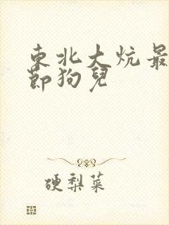 东北大炕最新章节狗儿