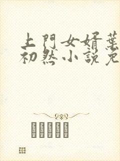 上门女婿叶辰萧初然小说免费