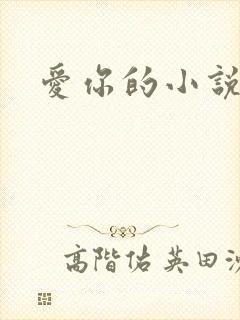 爱你的小说
