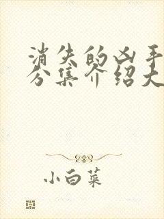 消失的凶手剧情分集介绍大结局