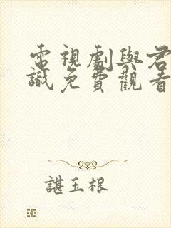 电视剧与君初相识免费观看全集