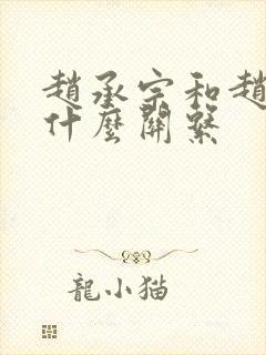 赵承宗和赵匡胤什么关系