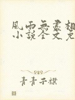 风雨无尽相思情小说全文免费阅读