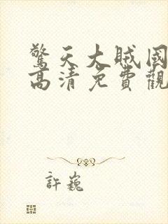 惊天大贼国语版高清免费观看