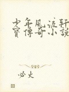 少年风流轩辕大宝传奇小说