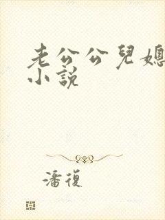 老公公儿媳妇的小说封面