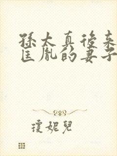 孙太真后来是赵匡胤的妻子吗