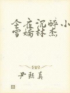 今夜沉醉小说段雪娇林杰