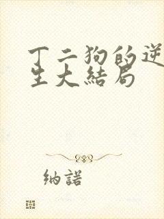 丁二狗的逆袭人生大结局