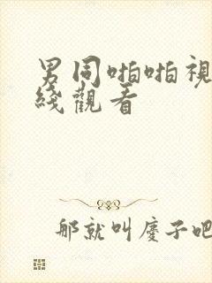 男同啪啪视频在线观看