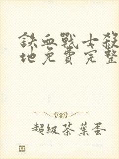 铁血战士杀戮之地免费完整版在线观看电影封面