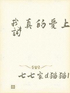 我真的爱上你歌词