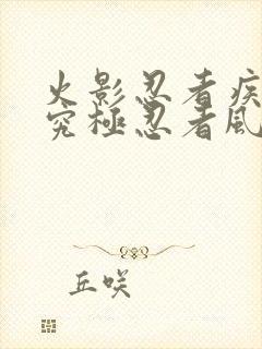 火影忍者疾风传究极忍者风暴4辅助封面