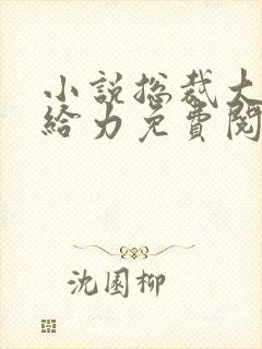 小说总裁大人超给力免费阅读