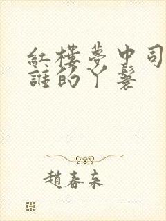 红楼梦中司棋是谁的丫鬟