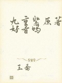 九重紫原著小说好看吗封面