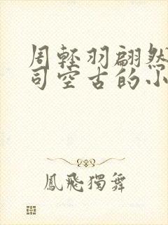 周轻羽翩然仙子司空古的小说名字