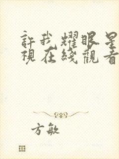 许我耀眼星辰影视在线观看