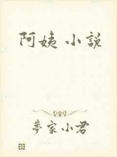 阿姨 小说
