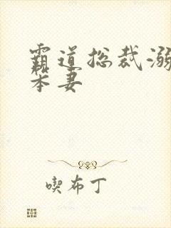 霸道总裁溺宠小笨妻