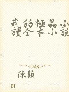 我的极品小姨阅读全本小说