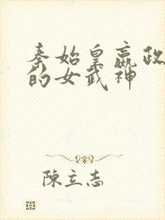 秦始皇嬴政终末的女武神封面