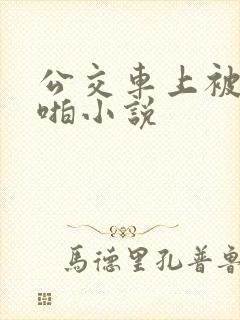 公交车上被啪啪啪小说