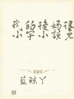 我的后妈很漂亮小宇小说免费阅读