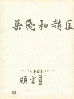 岳飞和赵匡胤封面